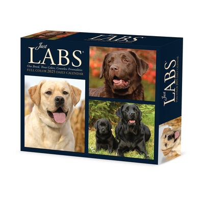 Labs 2025 6.2 X 5.4 Box Calendar