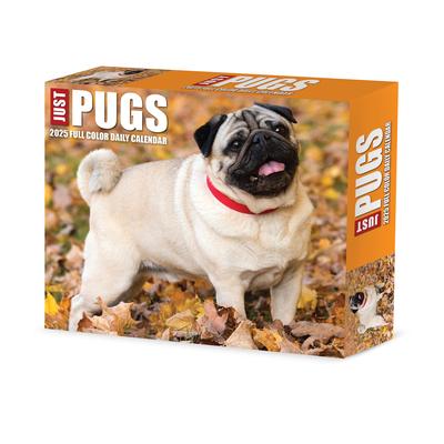 Pugs 2025 6.2 X 5.4 Box Calendar