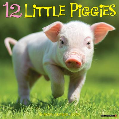 12 Little Piggies 2025 12 X 12 Wall Calendar