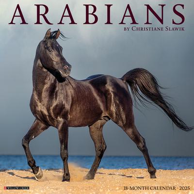 Arabians 2025 12 X 12 Wall Calendar