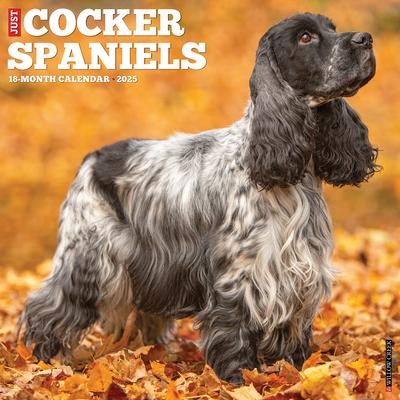 Just Cocker Spaniels 2025 12 X 12 Wall Calendar