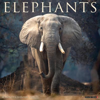 Elephants 2025 12 X 12 Wall Calendar