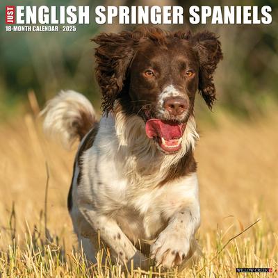 Just English Springer Spaniels 2025 12 X 12 Wall Calendar