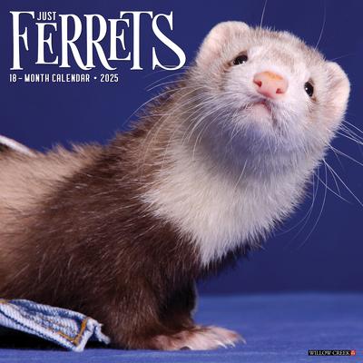 Ferrets 2025 12 X 12 Wall Calendar