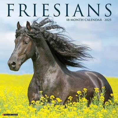 Friesians 2025 12 X 12 Wall Calendar