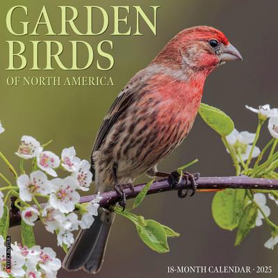 Garden Birds 2025 12 X 12 Wall Calendar