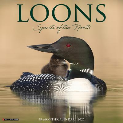 Loons 2025 12 X 12 Wall Calendar