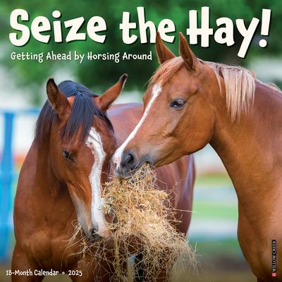 Seize the Hay 2025 12 X 12 Wall Calendar