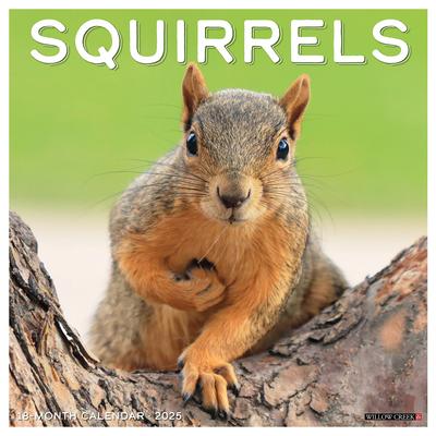 Squirrels 2025 12 X 12 Wall Calendar