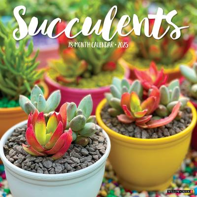 Succulents 2025 12 X 12 Wall Calendar