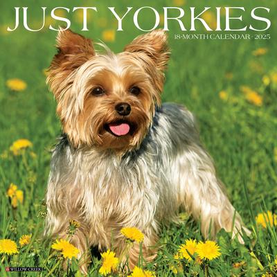 Just Yorkies 2025 12 X 12 Wall Calendar