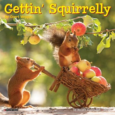 Gettin' Squirrelly 2025 7 X 7 Mini Wall Calendar