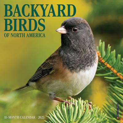 Backyard Birds 2025 7 X 7 Mini Wall Calendar