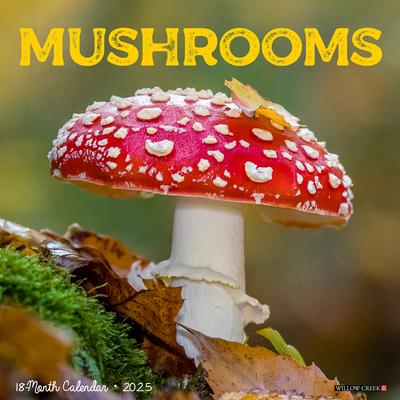 Mushroom (the Art of The) 2025 12 X 12 Wall Calendar