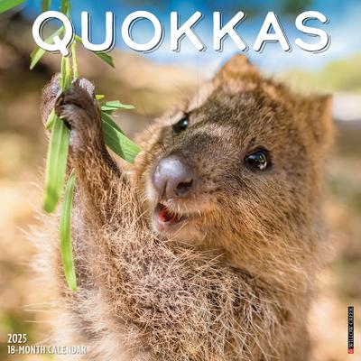 Quokkas 2025 12 X 12 Wall Calendar