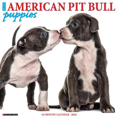 American Pit Bull Terrier Puppies 2026 12 X 12 Wall Calendar Subscription