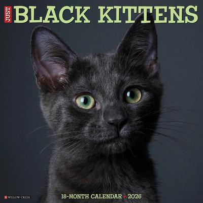 Black Kittens 2026 Wall Calendar Subscription