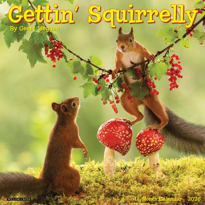 Gettin' Squirrelly 2026 12 X 12 Wall Calendar