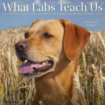 What Labs Teach Us 2026 12 X 12 Wall Calendar Subscription