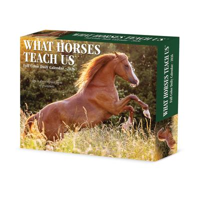 What Horses Teach Us 2026 5.4 X 6.2 Box Calendar