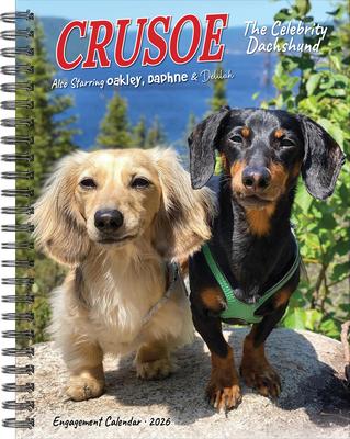 Crusoe the Celebrity Dachshund 2026 6.5 X 8.5 Engagement Calendar