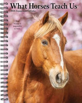 What Horses Teach Us 2026 6.5 X 8.5 Engagement Calendar