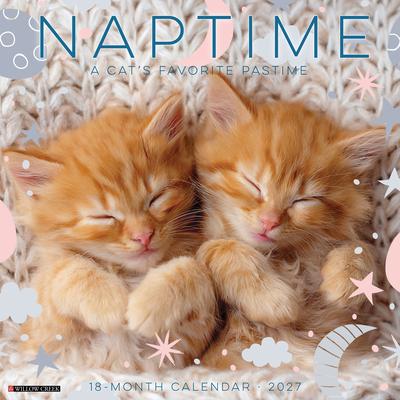 Naptime: A Cat's Favorite Pastime 2027 12 X 12 Wall Calendar