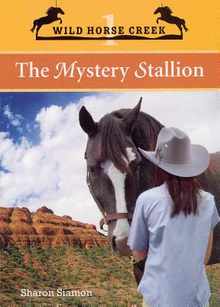 The Mystery Stallion: Volume 1