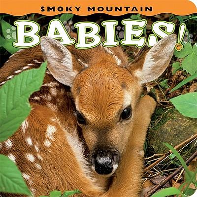 Smoky Mountain Babies!