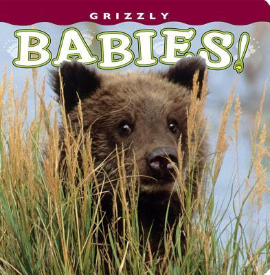 Grizzly Babies!