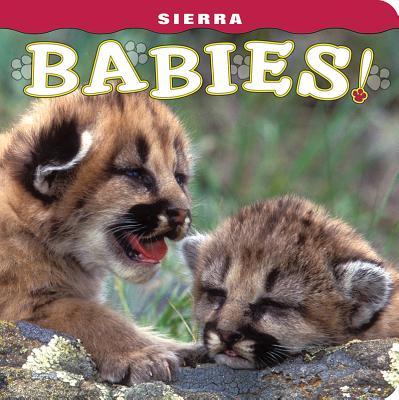 Sierra Babies!