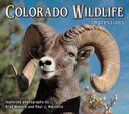 Colorado Wildlife Impressions Subscription