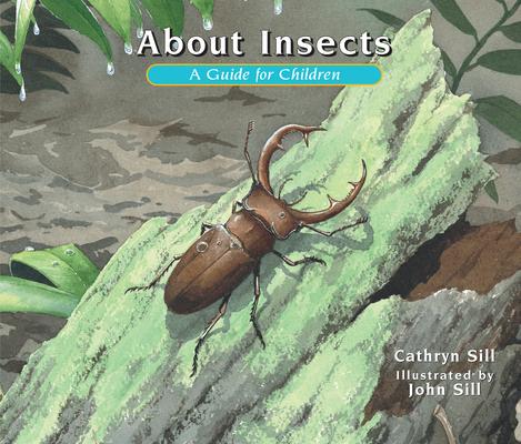 About Insects: A Guide for Children