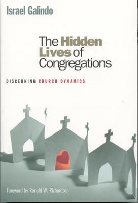 The Hidden Lives of Congregations: Discerning Church Dynamics