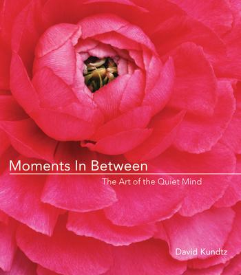 Moments in Between: The Art of the Quiet Mind (Daily Meditations; Inspiration Book for Women)