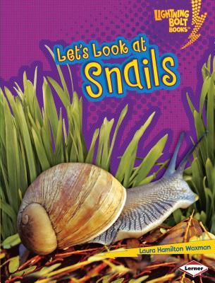 Let's Look at Snails