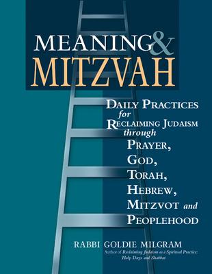 Meaning & Mitzvah: Daily Practices for Reclaiming Judaism Through Prayer, God, Torah, Hebrew, Mitzvot and Peoplehood