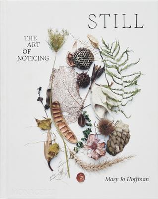 Still: The Art of Noticing Subscription