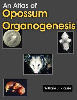 An Atlas of Opossum Organogenesis: Opossum Development