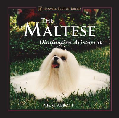 The Maltese: Diminutive Aristocrat