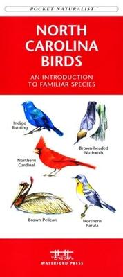 Colorado Birds: A Folding Pocket Guide to Familiar Species