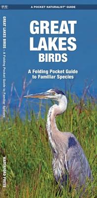 Great Lakes Birds: An Introduction to Familiar Species