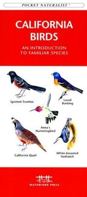 Idaho Birds: A Folding Pocket Guide to Familiar Species