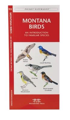 Montana Birds: A Folding Pocket Guide to Familiar Species