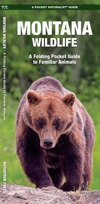 Montana Wildlife: A Folding Pocket Guide to Familiar Animals