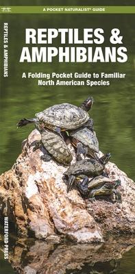 Reptiles & Amphibians: An Introduction to Familiar North American Species