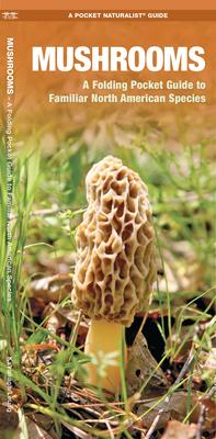 Mushrooms: An Introduction to Familiar North American Species