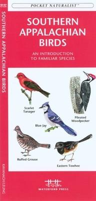 Vermont Birds: An Introduction to Familiar Species