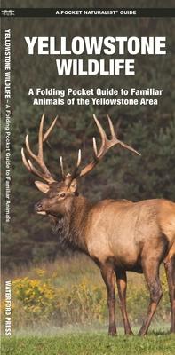 Yellowstone Wildlife: A Folding Pocket Guide to Familiar Animals of the Yellowstone Area