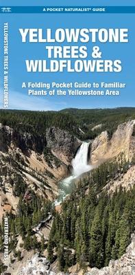 Yellowstone Trees & Wildflowers: A Folding Pocket Guide to Familiar Plants of the Yellowstone Area
